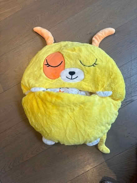 Photo of free 2 children sleeping bags (SW11) #4