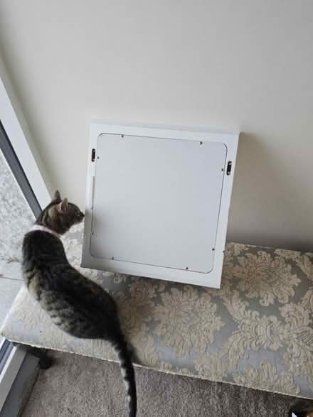 Photo of free Mirror and shelf (Wicklow town) #2