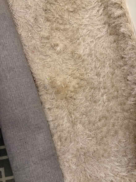 Photo of free Tatty rug (Staines TW18) #1