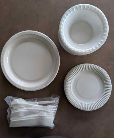 Photo of free Party plates and forks (Hanwell W7) #1