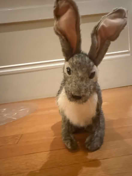 Photo of free Rabbit Stuffed Animal (Piedmont) #1