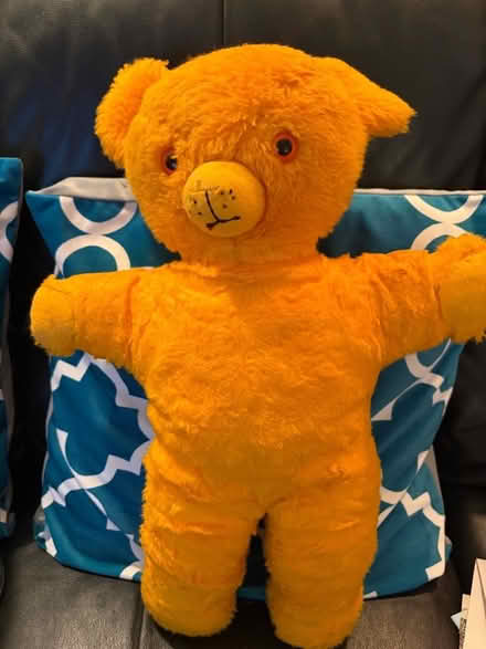 Photo of free Teddy Bear (Westbury BA13) #1