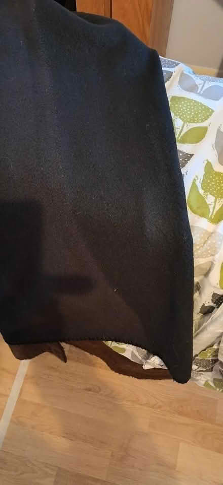 Photo of free Blanket lined door curtains (Upton CH2) #2