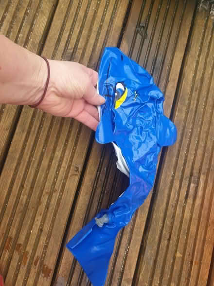 Photo of free Inflatables - need a bit of a clean (Parkstone, Poole, BH14) #4