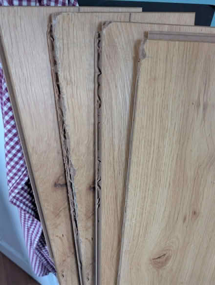 Photo of free 10 Oak Laminate Boards (BD18) #1