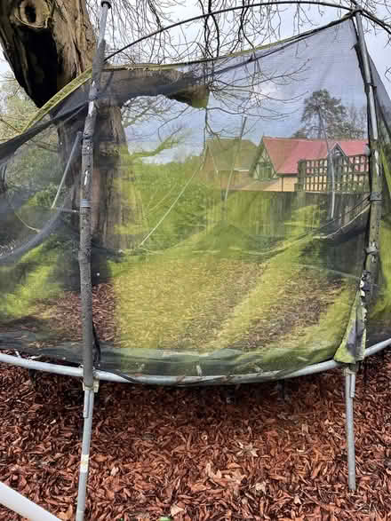 Photo of free Used outdoor trampoline (Borehamwood) #2