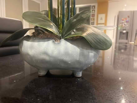 Photo of free Large faux Orchid display (Newburgh WN8) #3