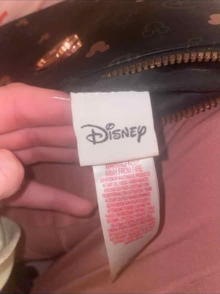 Photo of free Disney Zip Makeup Bag (Eynsham, OX29) #2