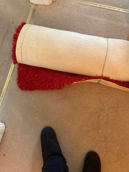 Photo of free Large Red shag pile rug (Adeyfield HP2) #1