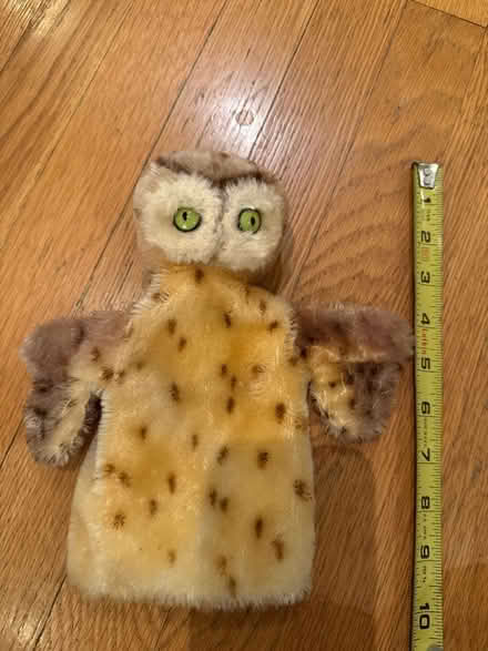 Photo of free Owl Puppet (Piedmont) #1