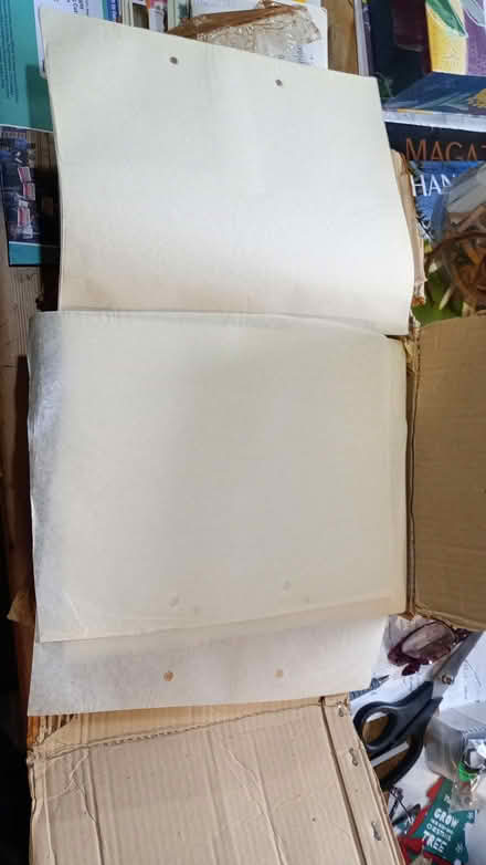 Photo of free Animation cells (Tredinnick TR20) #1