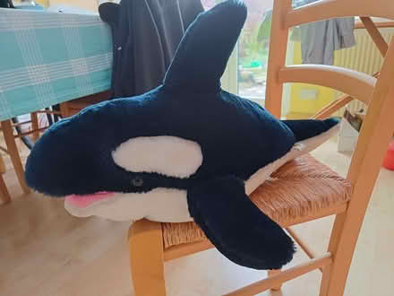 Photo of free "Cuddly" Orca/Killer Whale (Cutteslowe OX2) #1