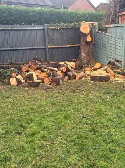 Photo of free wood/logs (Oswestry) #1