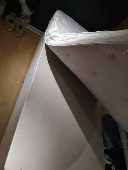 Photo of free Single divan bed (Halifax) #1