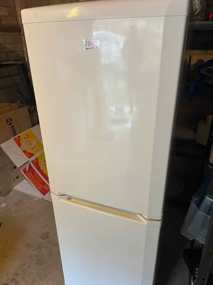 Photo of free Beko fridge freezer (Arnold NG5) #1