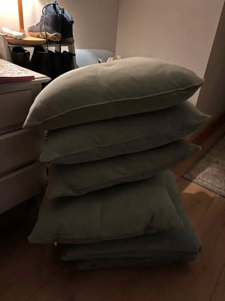 Photo of free Green sofa cushions (CB21) #1