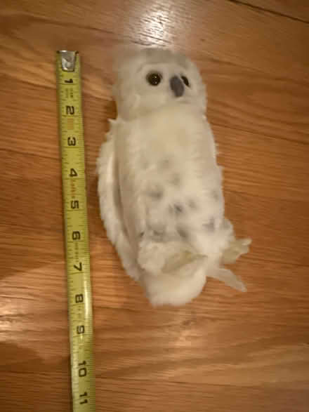 Photo of free Owl Stuffed Animal (Piedmont) #1