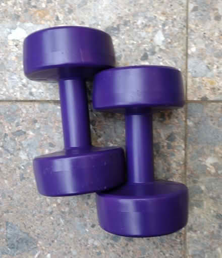 Photo of free Hand dumbbells (St Helens TN35) #1