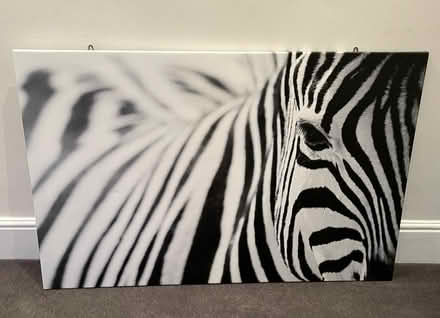 Photo of free Zebra canvas print (Muswell Hill N22) #1