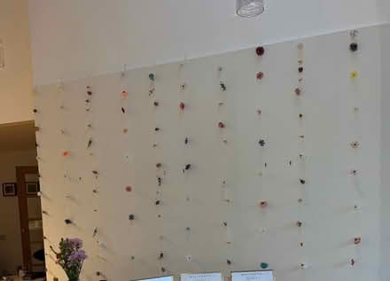 Photo of free Three flower crowns + fake florals (Nether Edge S7) #4