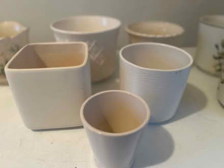 Photo of free Indoor plant pots (BT7) #4