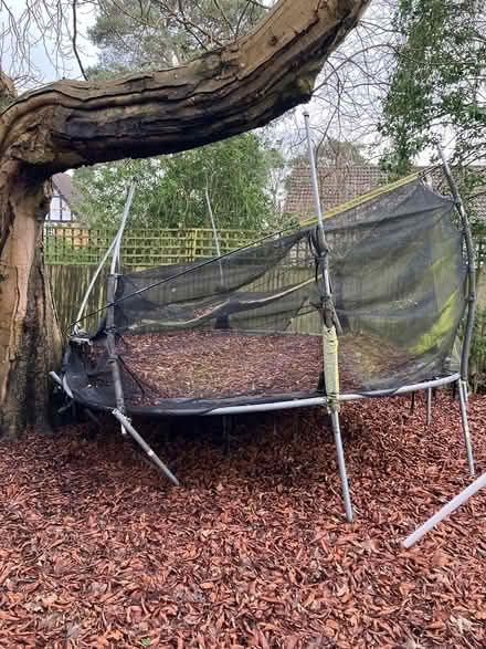 Photo of free Used outdoor trampoline (Borehamwood) #3