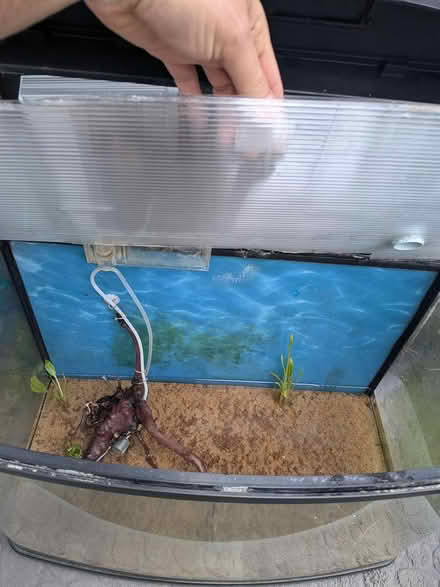 Photo of free 60L Aquarium (RG2) #4