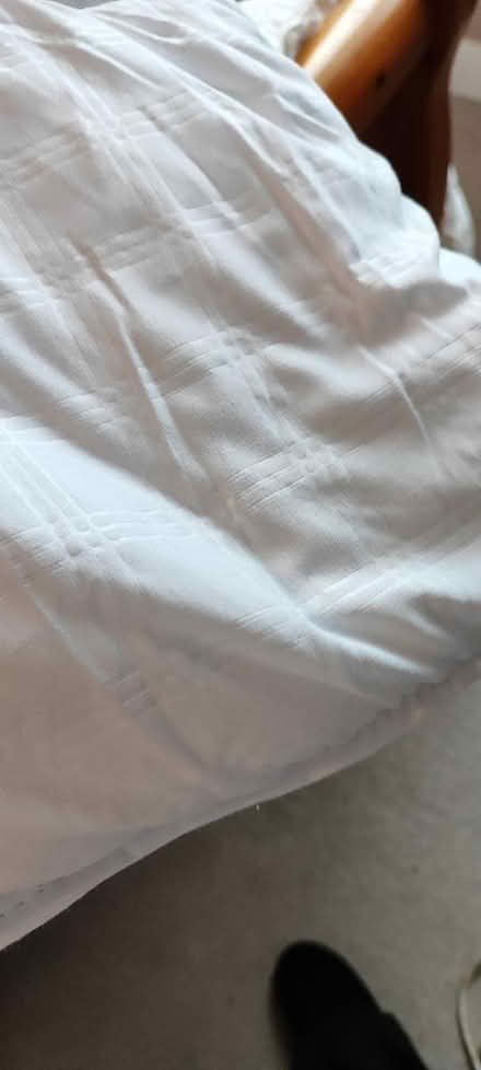 Photo of free 13.5 king size duvet (Dublin 12) #1