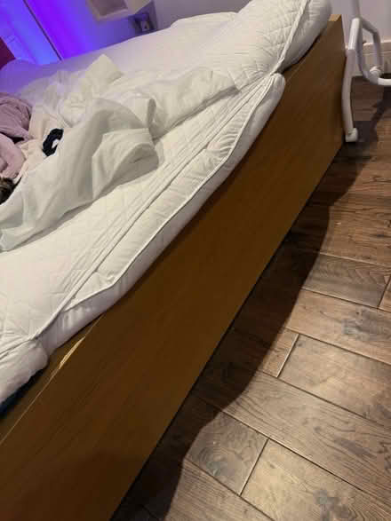 Photo of free Double malm bed no mattress (Enfield N13) #4