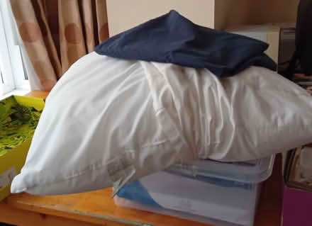 Photo of free Large square pillow and pillowcase (Stinchcombe GL11) #1