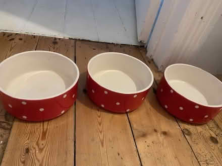 Photo of free Dog Crate - medium dog & 3 bowls (Haringey, near St Ann's, N15) #3