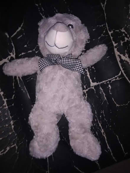 Photo of free small grey teddy bear (Sheffield centre S1) #1
