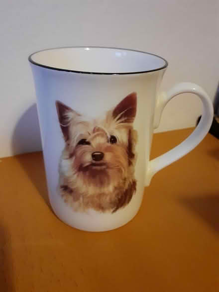 Photo of free Dog mug (Marston, Oxford OX3) #1