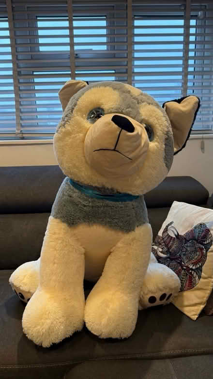 Photo of free Large cuddly toy (Watford/Leavesdon) #1