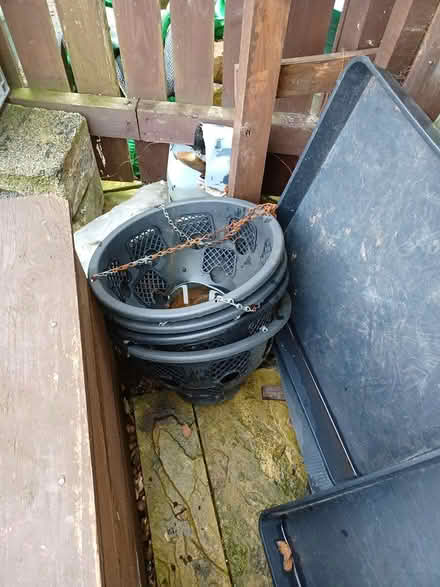 Photo of free Hanging baskets (OL2 - Royton) #1