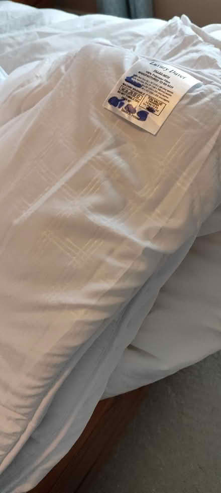 Photo of free 13.5 king size duvet (Dublin 12) #3