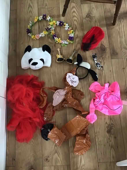 Photo of free Fancy dress (Redhill RH1) #2