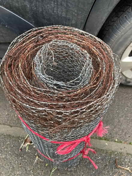 Photo of free Chicken wire (Glastonbury BA6) #3