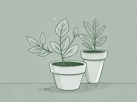 Photo of Plants (Hampden Park BN22) #1