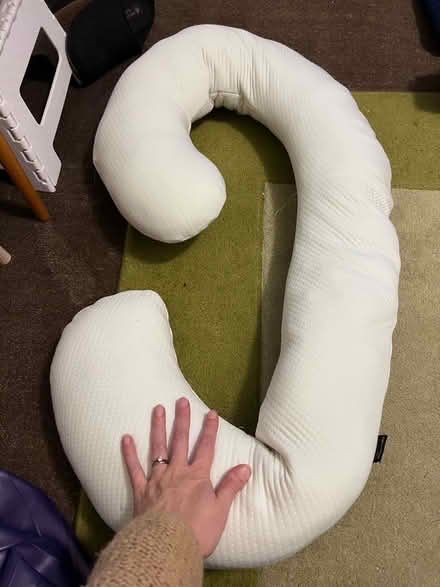 Photo of free Pregnancy Pillow and Birthing Ball (Belvidere SY2) #1