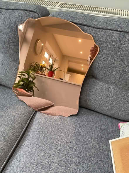 Photo of free Pretty rose good mirror (Earley RG6) #1