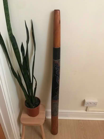 Photo of free Didgeridoo musical instrument (Canton CF5) #1