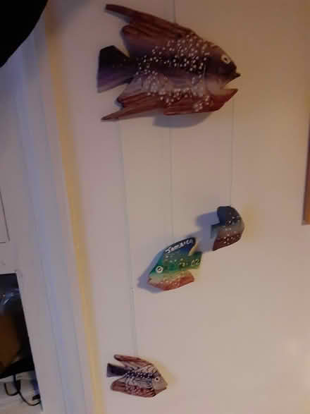 Photo of free Hanging fish decoration (Marston, Oxford OX3) #1