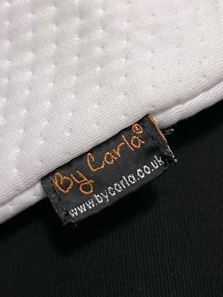 Photo of free Pregnancy Pillow and Birthing Ball (Belvidere SY2) #2