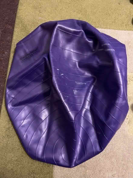 Photo of free Pregnancy Pillow and Birthing Ball (Belvidere SY2) #3