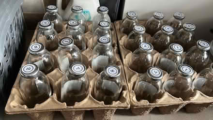 Photo of free 24 glass bottles with lids (Bucklesham IP10) #2