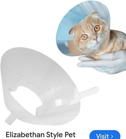 Photo of free Elizabethian collar postsurgery pet (Dublin 1) #1