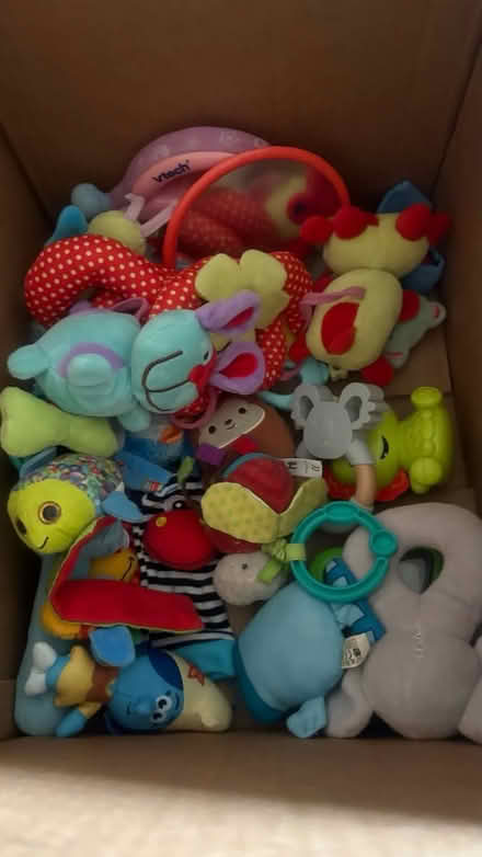 Photo of free Selection of new born baby toys (Chatham) #1