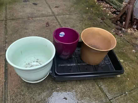 Photo of free Indoor plant pots and seed trays (B42 Great Barr) #1