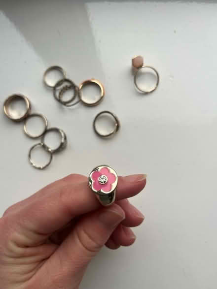 Photo of free Set of 10 small rings (Nether Edge S7) #2